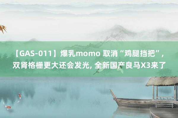 【GAS-011】爆乳momo 取消“鸡腿挡把”, 双肾格栅更大还会发光, 全新国产良马X3来了