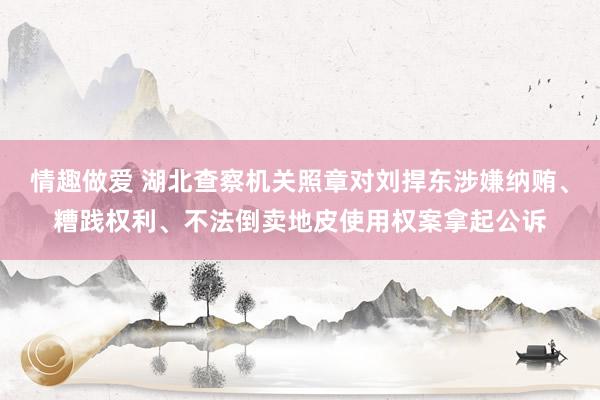 情趣做爱 湖北查察机关照章对刘捍东涉嫌纳贿、糟践权利、不法倒卖地皮使用权案拿起公诉
