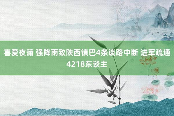 喜爱夜蒲 强降雨致陕西镇巴4条谈路中断 进军疏通4218东谈主