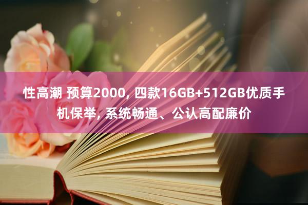 性高潮 预算2000, 四款16GB+512GB优质手机保举, 系统畅通、公认高配廉价