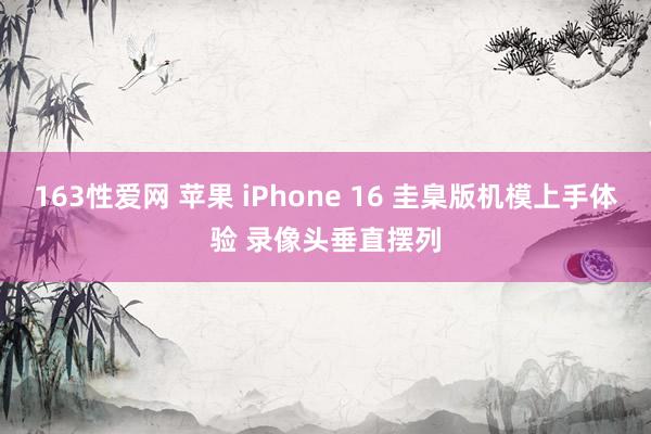 163性爱网 苹果 iPhone 16 圭臬版机模上手体验 录像头垂直摆列