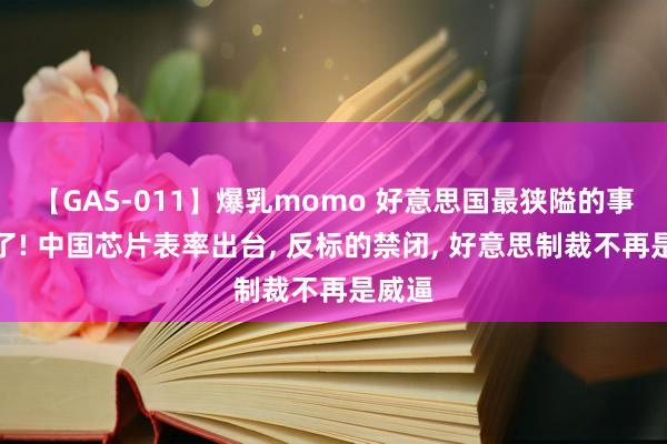 【GAS-011】爆乳momo 好意思国最狭隘的事发生了! 中国芯片表率出台, 反标的禁闭, 好意思制裁不再是威逼