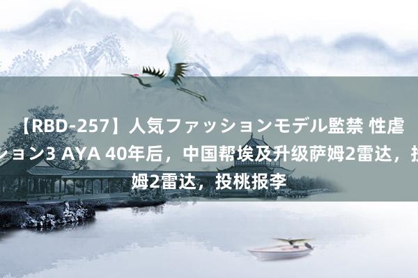 【RBD-257】人気ファッションモデル監禁 性虐コレクション3 AYA 40年后，中国帮埃及升级萨姆2雷达，投桃报李