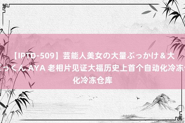 【IPTD-509】芸能人美女の大量ぶっかけ＆大量ごっくん AYA 老相片见证大福历史上首个自动化冷冻仓库