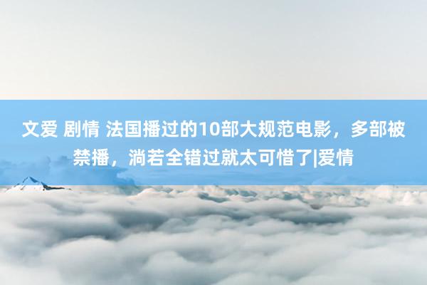 文爱 剧情 法国播过的10部大规范电影，多部被禁播，淌若全错过就太可惜了|爱情