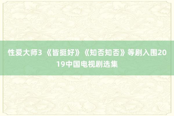 性爱大师3 《皆挺好》《知否知否》等剧入围2019中国电视剧选集