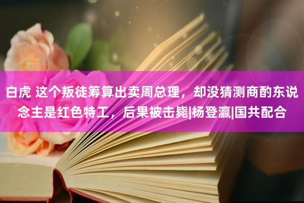 白虎 这个叛徒筹算出卖周总理，却没猜测商酌东说念主是红色特工，后果被击毙|杨登瀛|国共配合