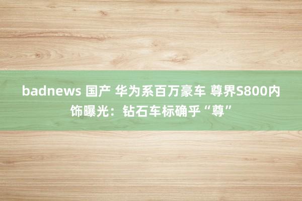 badnews 国产 华为系百万豪车 尊界S800内饰曝光：钻石车标确乎“尊”