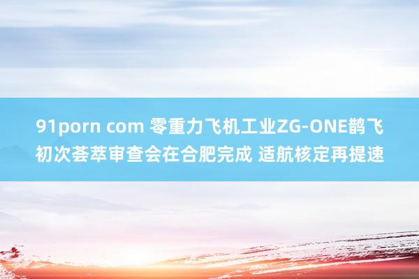91porn com 零重力飞机工业ZG-ONE鹊飞初次荟萃审查会在合肥完成 适航核定再提速