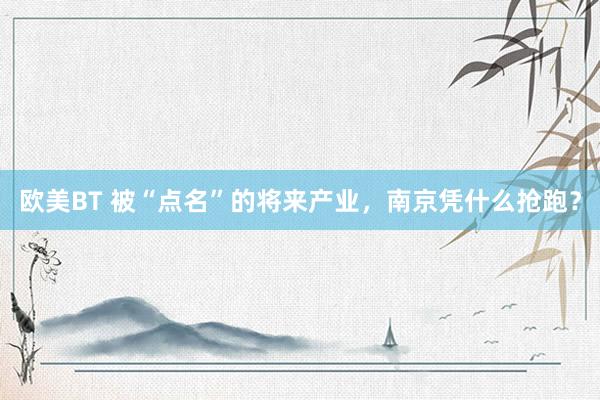 欧美BT 被“点名”的将来产业，南京凭什么抢跑？