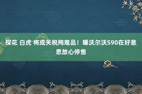 探花 白虎 将成关税殉难品！曝沃尔沃S90在好意思放心停售