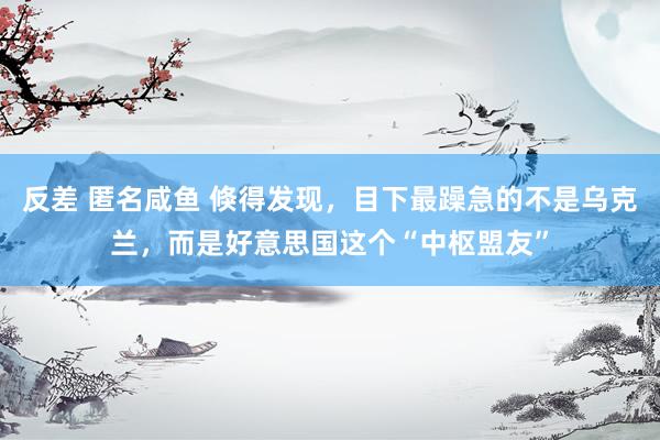 反差 匿名咸鱼 倏得发现，目下最躁急的不是乌克兰，而是好意思国这个“中枢盟友”
