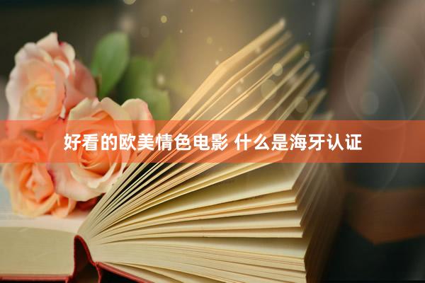 好看的欧美情色电影 什么是海牙认证
