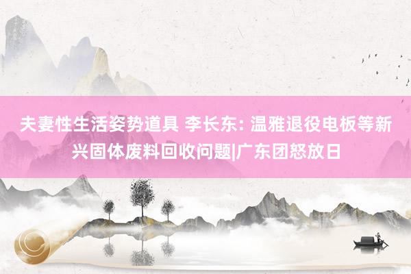 夫妻性生活姿势道具 李长东: 温雅退役电板等新兴固体废料回收问题|广东团怒放日