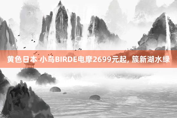 黄色日本 小鸟BIRDE电摩2699元起, 簇新湖水绿