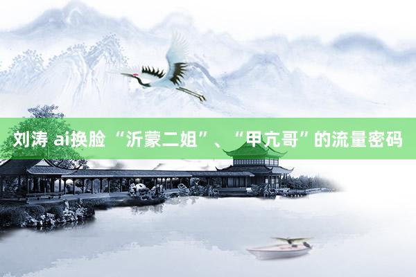 刘涛 ai换脸 “沂蒙二姐”、“甲亢哥”的流量密码