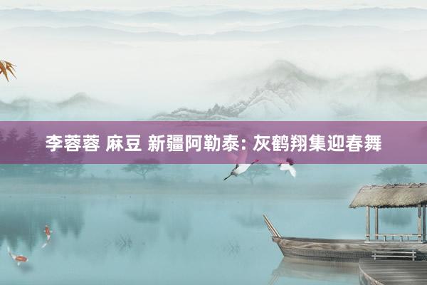 李蓉蓉 麻豆 新疆阿勒泰: 灰鹤翔集迎春舞