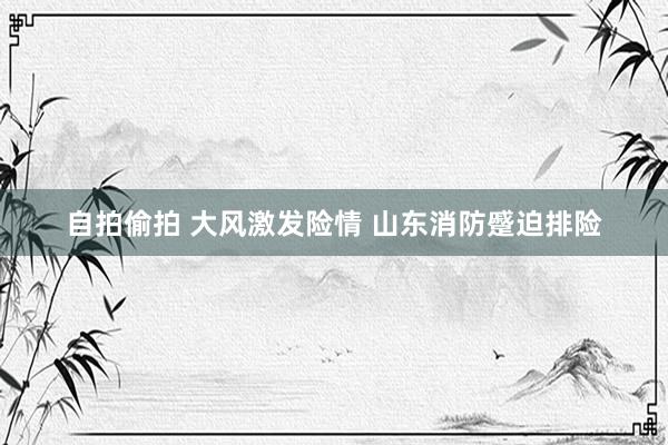 自拍偷拍 大风激发险情 山东消防蹙迫排险