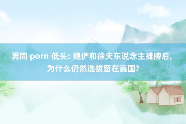男同 porn 低头: 魏俨和徐夫东说念主摊牌后, 为什么仍然选拔留在巍国?