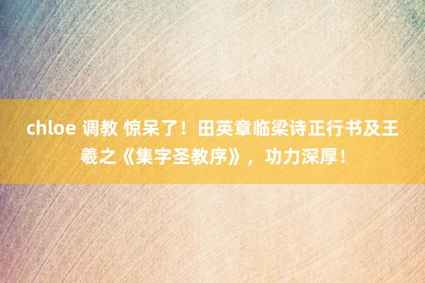 chloe 调教 惊呆了！田英章临梁诗正行书及王羲之《集字圣教序》，功力深厚！