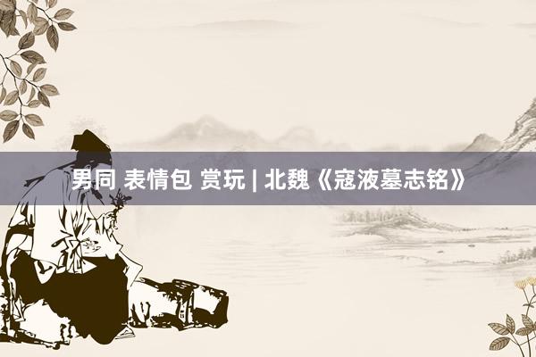 男同 表情包 赏玩 | 北魏《寇液墓志铭》