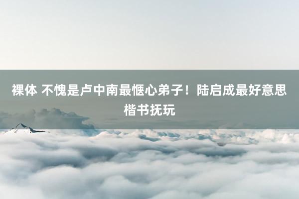 裸体 不愧是卢中南最惬心弟子！陆启成最好意思楷书抚玩